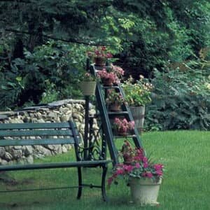 Garden Tidies