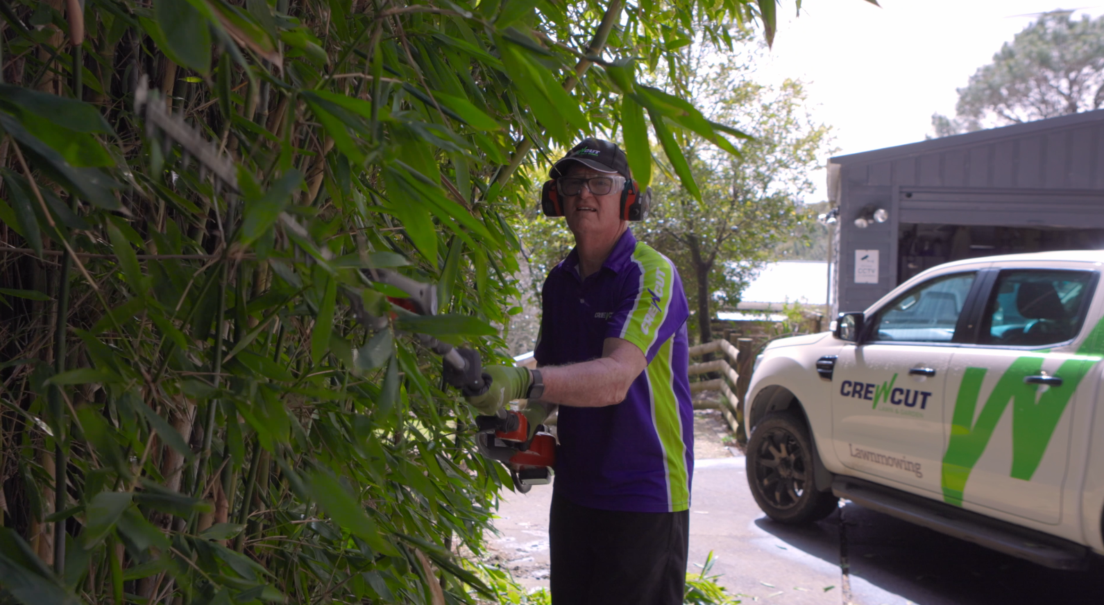 Hedge Trimming